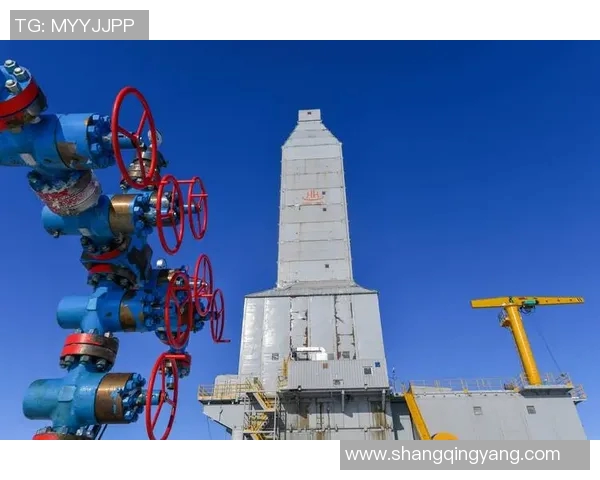 亚马尔地区的能源战略与全球气候变化的互动分析与展望