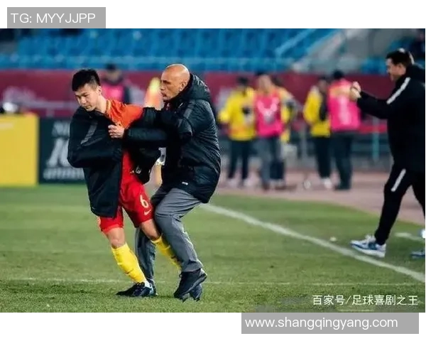 伊朗与日本裁判组的较量背后隐藏的故事与争议分析