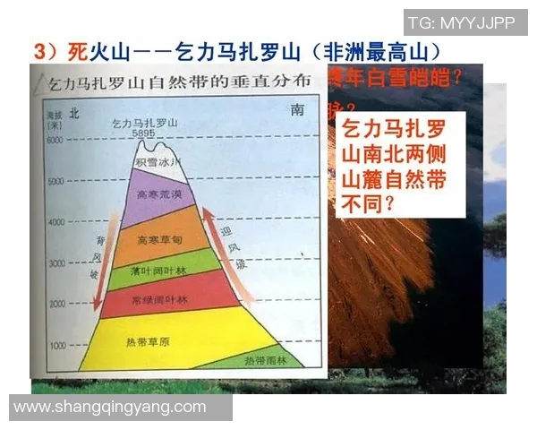 俄罗斯与埃及精彩对决录播回顾分析与精彩瞬间分享