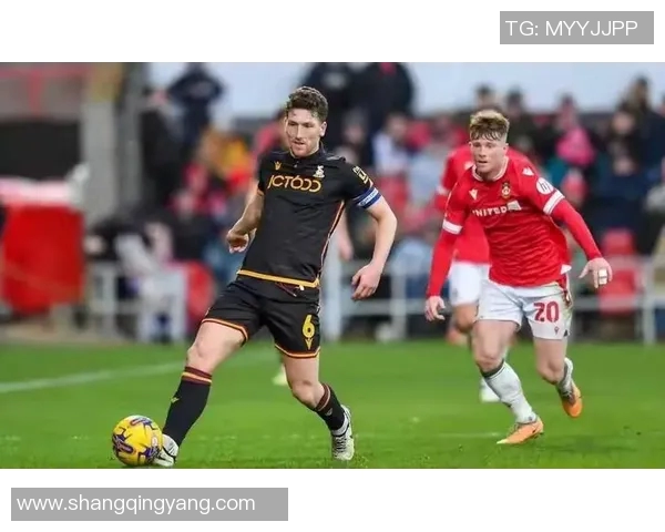 唐卡斯特主场迎战桑德兰期待精彩对决双方争夺关键积分的激烈较量 唐卡斯特主场迎战桑德兰期待精彩对决双方争夺关键积分的激烈较量