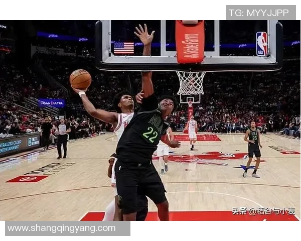 新奥尔良鹈鹕队与热火的精彩对决展现篮球魅力与团队精神