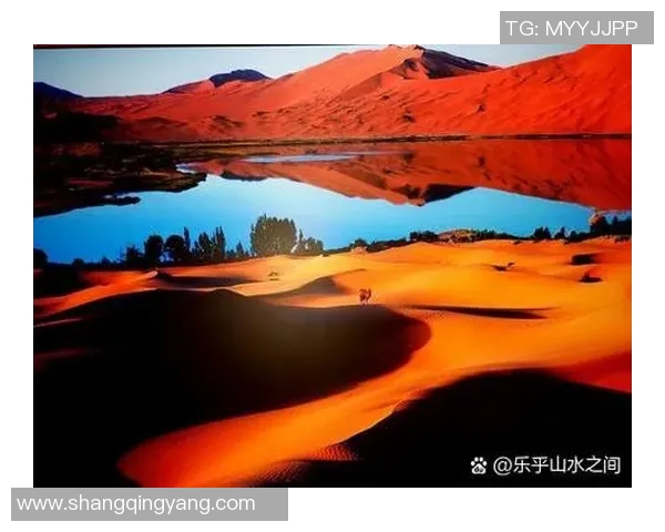 探索奥蓬达的魅力与历史：一段关于文化与自然的奇妙旅程