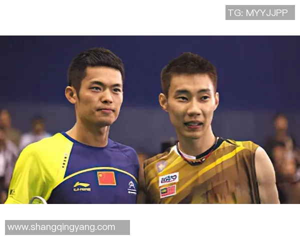 林丹与李宗伟在武汉的巅峰对决回顾与精彩瞬间分析