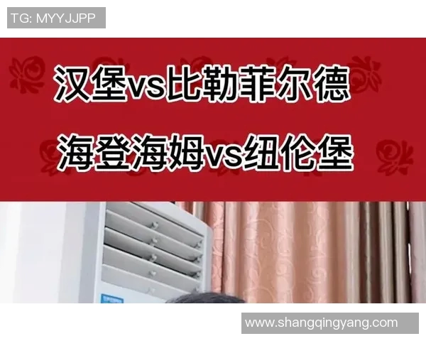 汉堡与纽伦堡比赛结果分析及比分预测展望 汉堡与纽伦堡比赛结果分析及比分预测展望