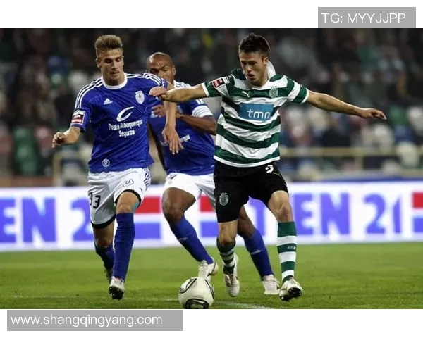 波黑与比利时激战成和比分揭晓双方实力对比分析