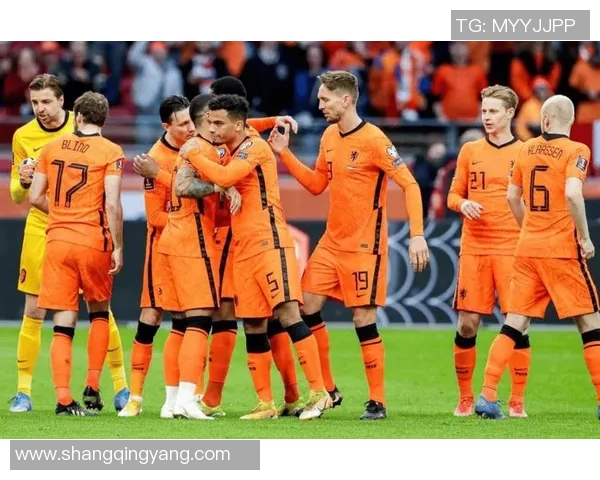 澳大利亚与荷兰精彩对决集锦回顾赛场瞬间尽显足球魅力与激情 澳大利亚与荷兰精彩对决集锦回顾赛场瞬间尽显足球魅力与激情