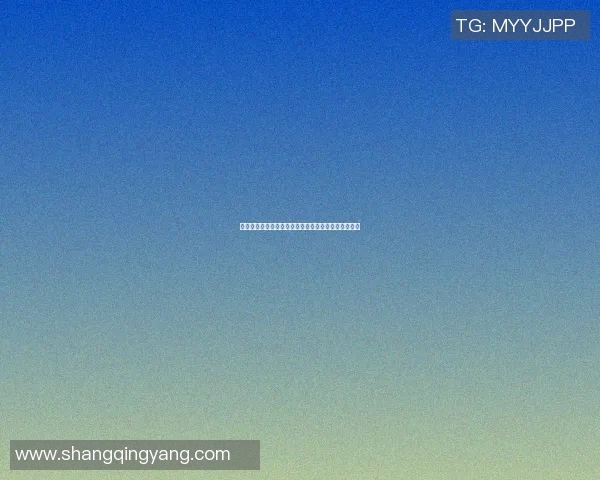 热火与猛龙对决前瞻及比分预测分析助你掌握比赛动态