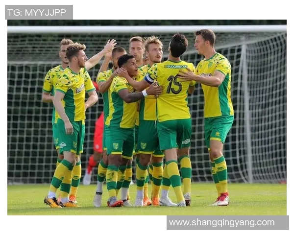 诺维奇主场迎战斯蒂文尼奇期待精彩对决与精彩进球 诺维奇主场迎战斯蒂文尼奇期待精彩对决与精彩进球