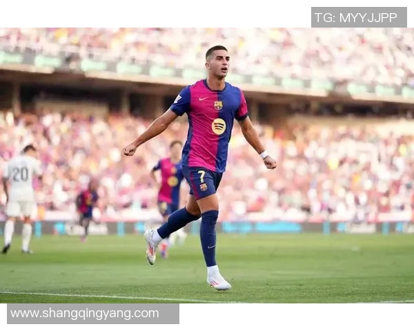 费兰托雷斯在足球世界的崛起与未来发展展望分析 费兰托雷斯在足球世界的崛起与未来发展展望分析