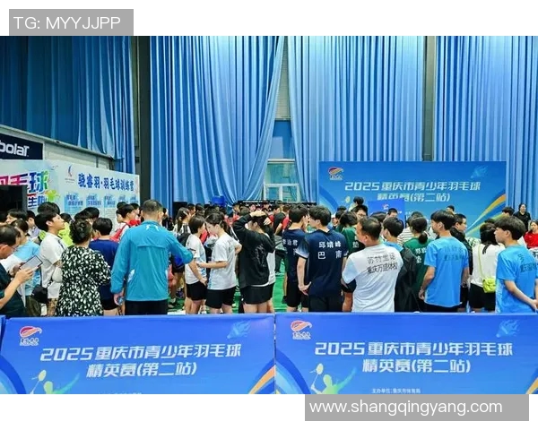 重庆羽毛球队个人能力分析与发展策略探讨