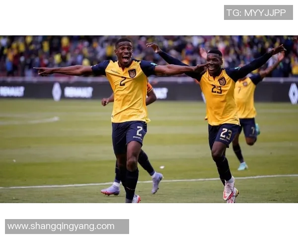 阿根廷与厄瓜多尔2020年精彩对决回顾与分析