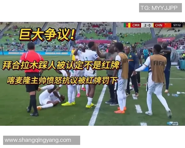 喀麦隆与克罗地亚比赛中最荒唐红牌事件引发热议与争议