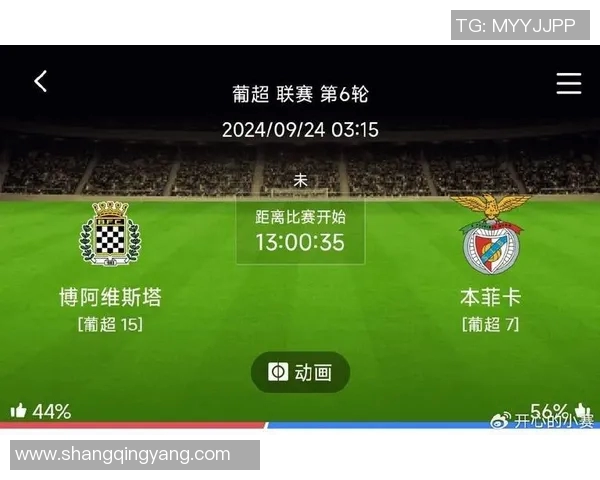 本菲卡与博阿维斯激战正酣谁能在这场对决中笑到最后 本菲卡与博阿维斯激战正酣谁能在这场对决中笑到最后